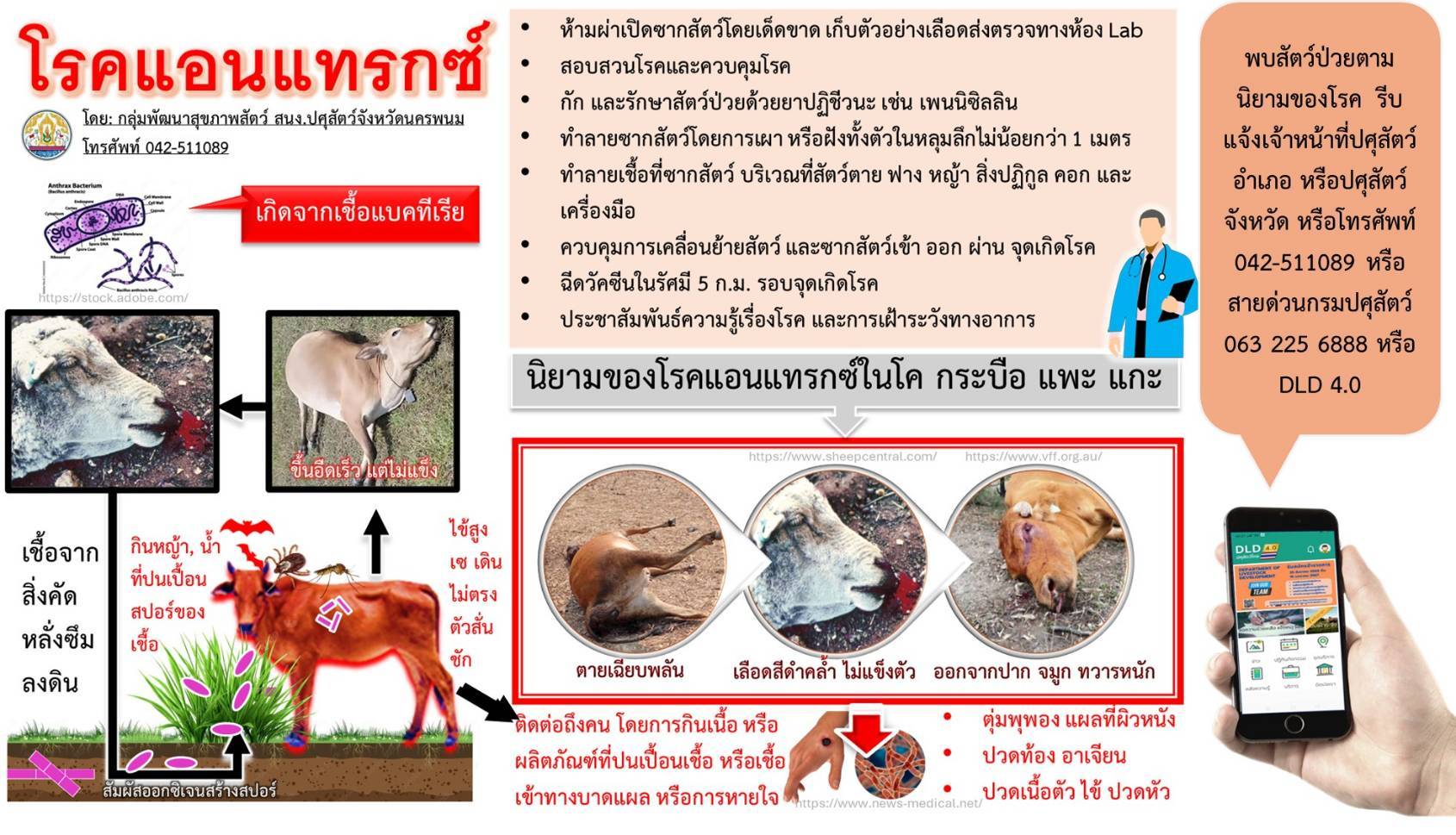 รูปแนบ